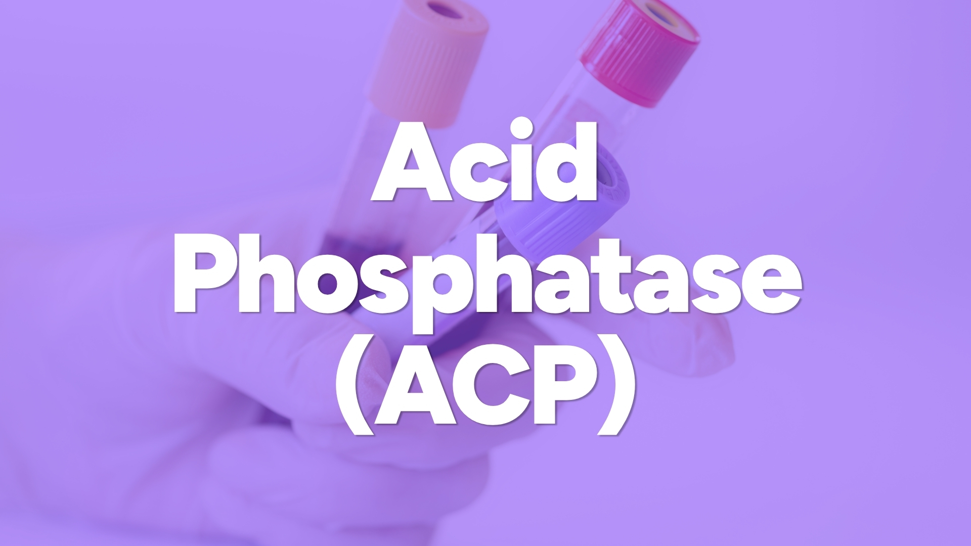 Acid Phosphatase (ACP) by Exact Check at LIBIS | Hati Health